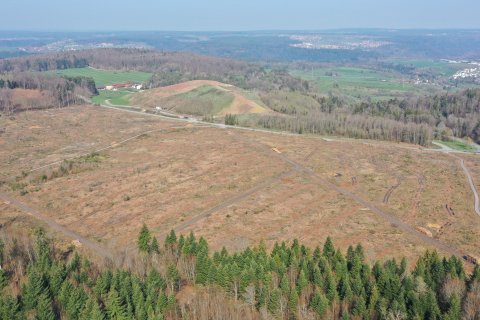 Übergabe der Flächen ohne Baumbestand